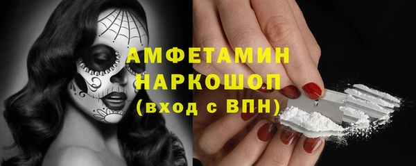 сатива Козловка