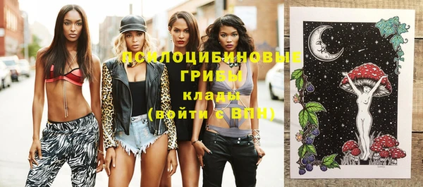 сатива Козловка