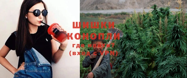 сатива Козловка