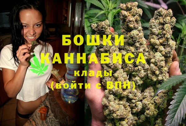 сатива Козловка