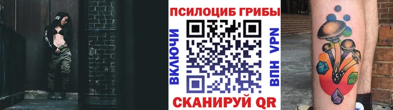 Псилоцибиновые грибы MAGIC MUSHROOMS  Купить закладки  Богучар 